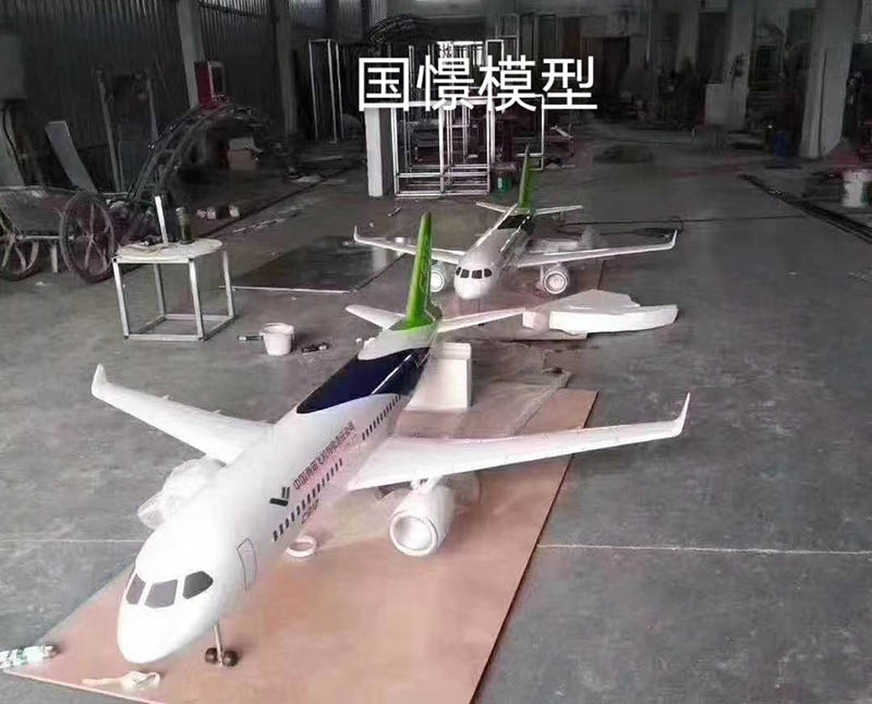 乡宁县飞机模型